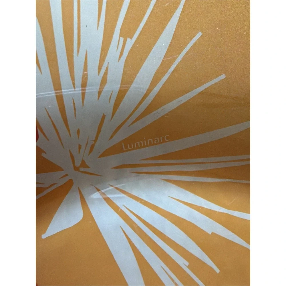 Vintage Retro Luminarc 5 Dinner Plates Orange Pop Flower Tempered Glass Floral